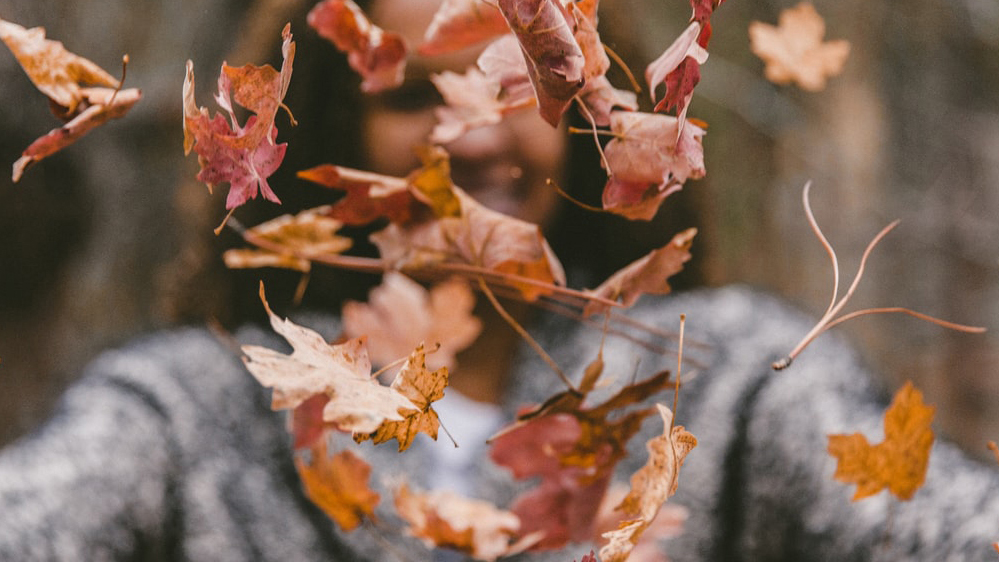 Äldre par som promenerar i trädgård.