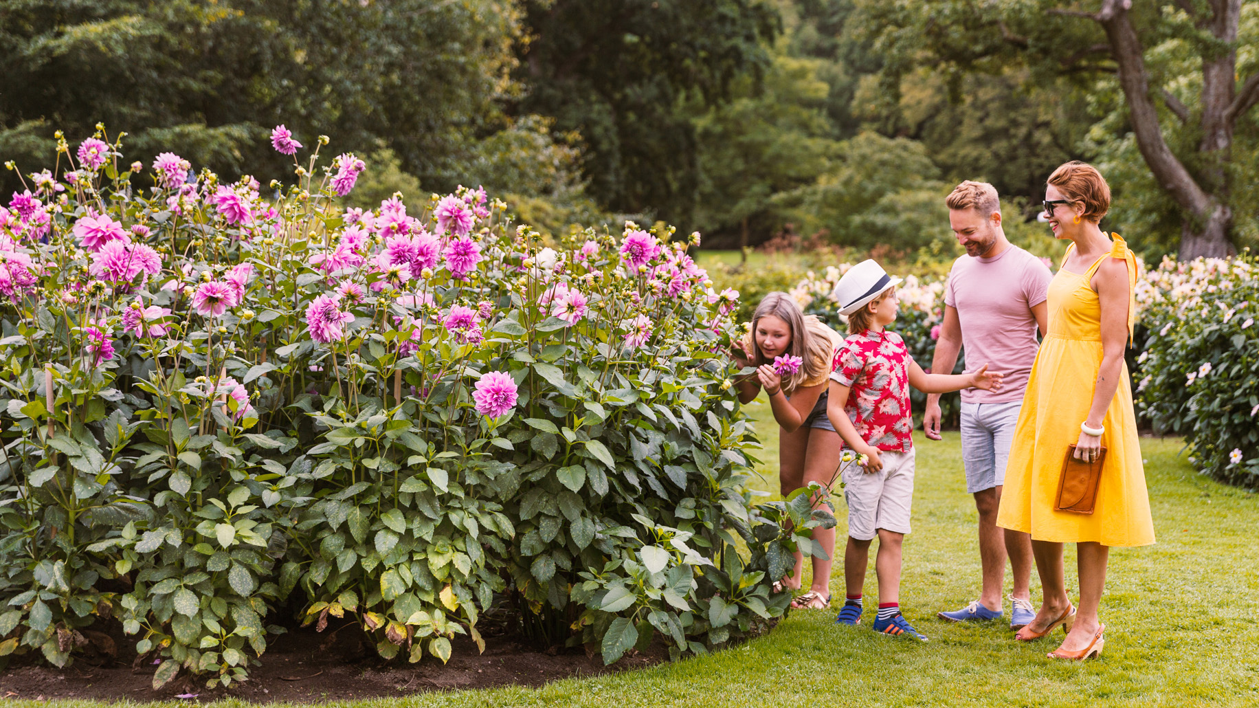 Familj som står bland dahlior.
