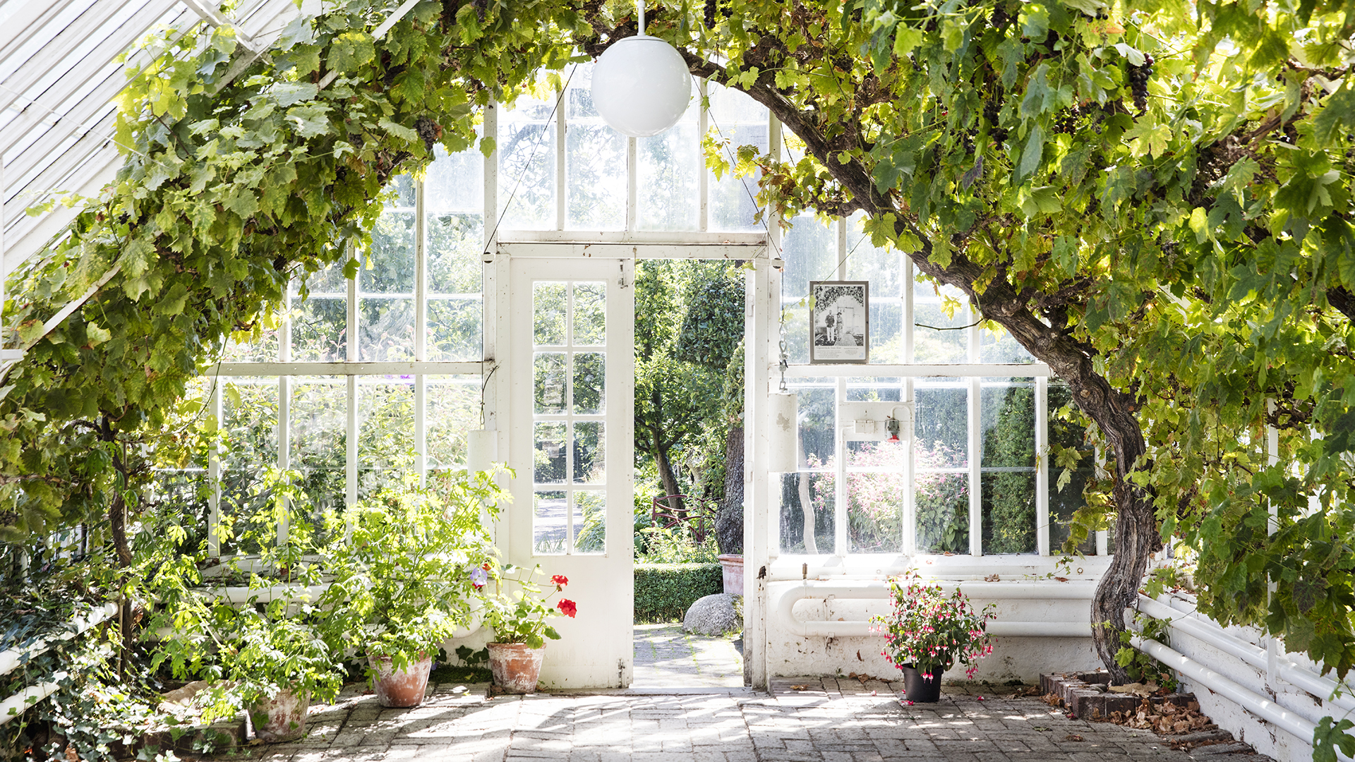 Vinhuset på Sofiero