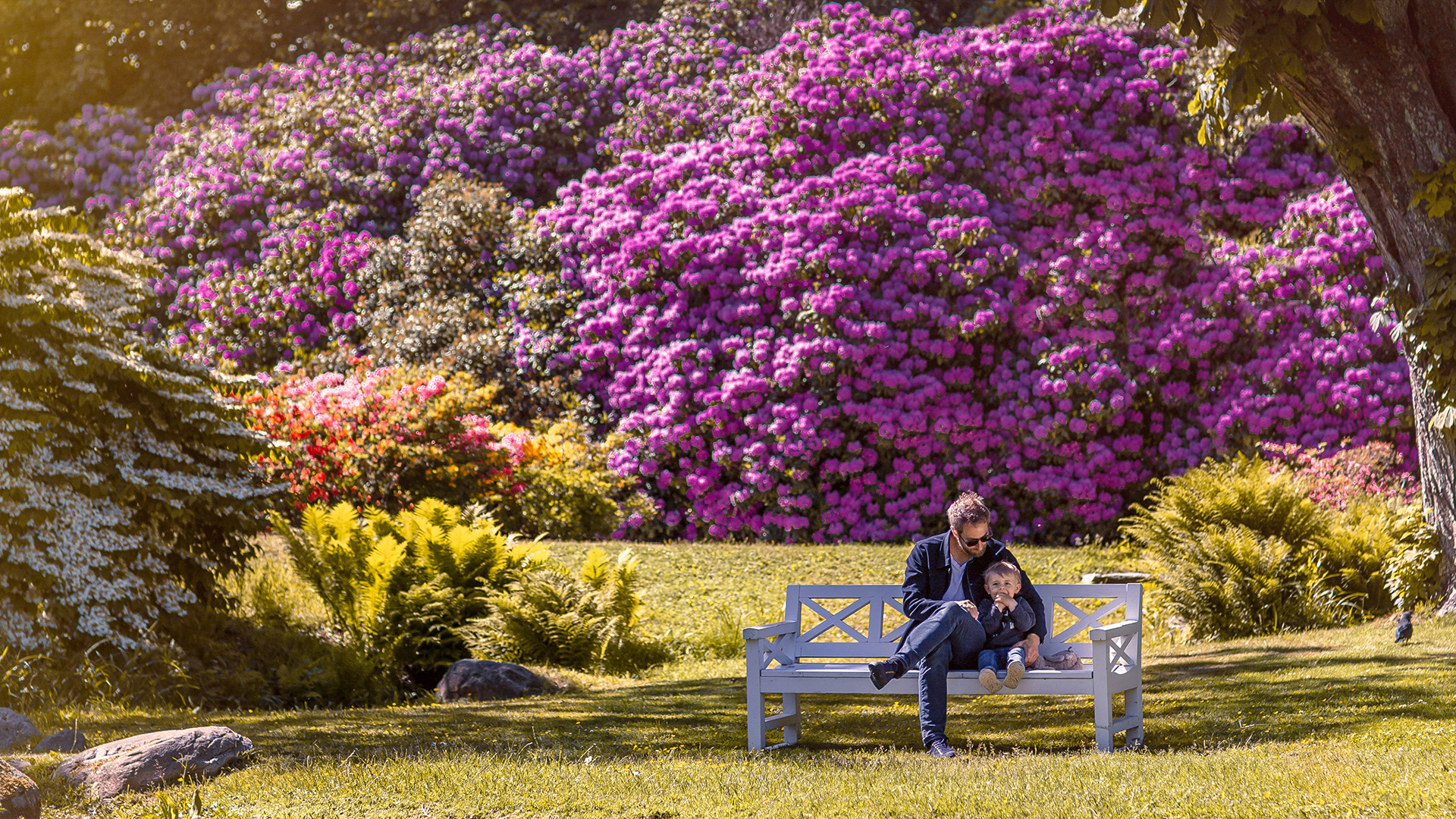 Far och son sitter på parkbänk.