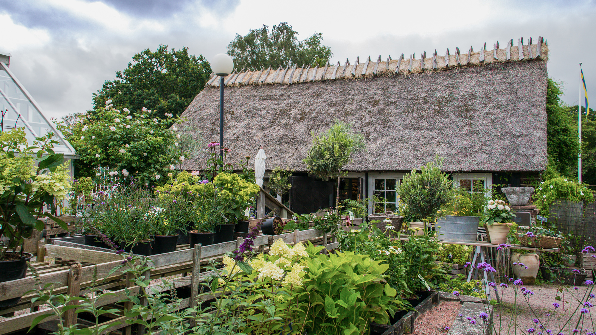 Sofiero trädgårdshandel.