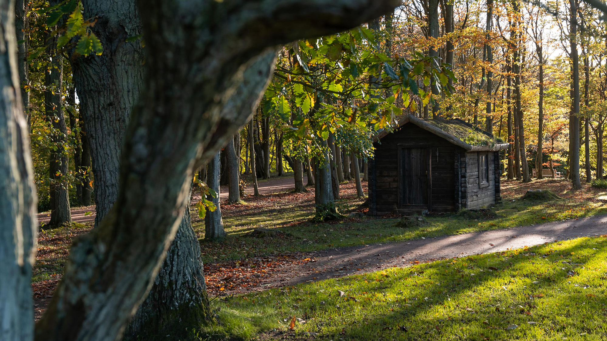 Stuga i trä på Sofiero.