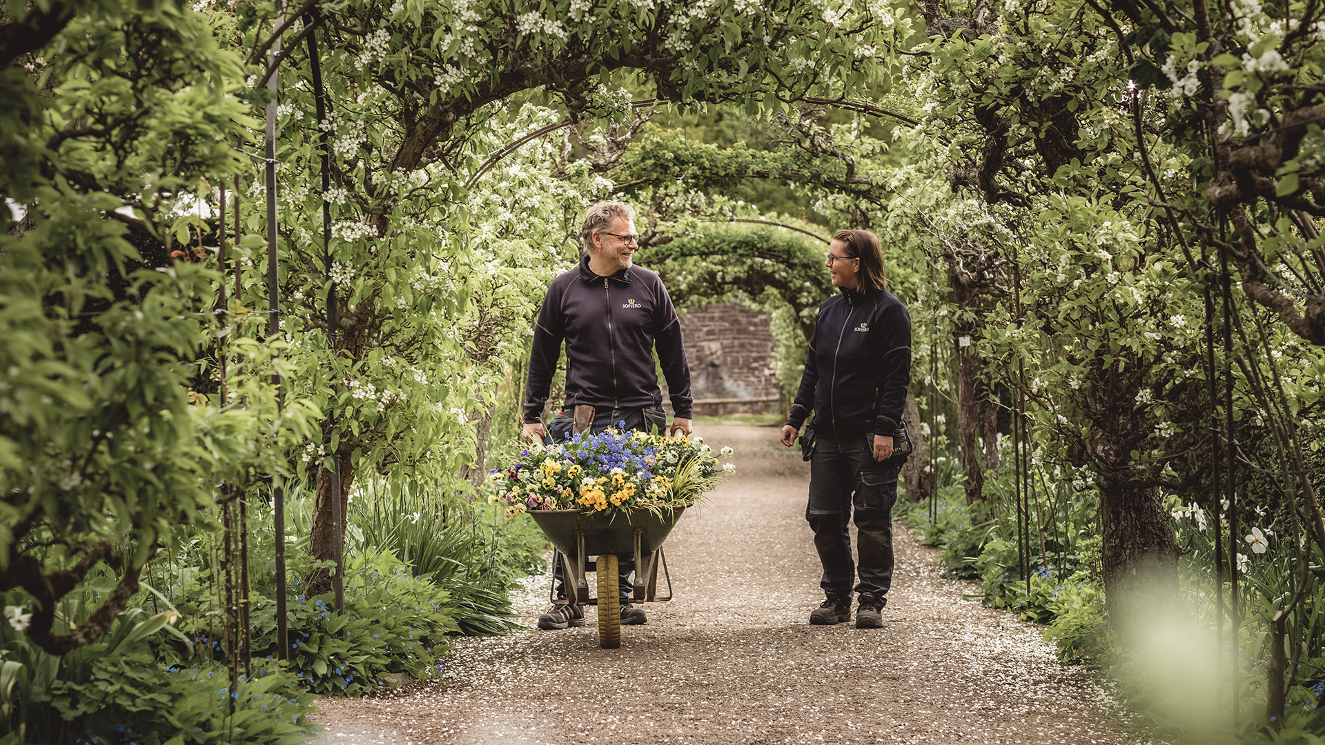 Trädgårdsmästare med skottkärra.